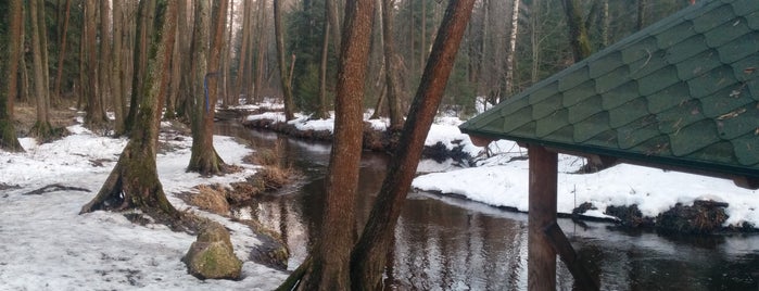 Малахит Лухари Вилаж is one of Locais curtidos por Тарас.