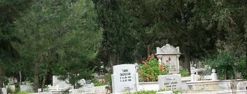 Akbelen Asri Mezarlığı is one of Oguz'un Beğendiği Mekanlar.