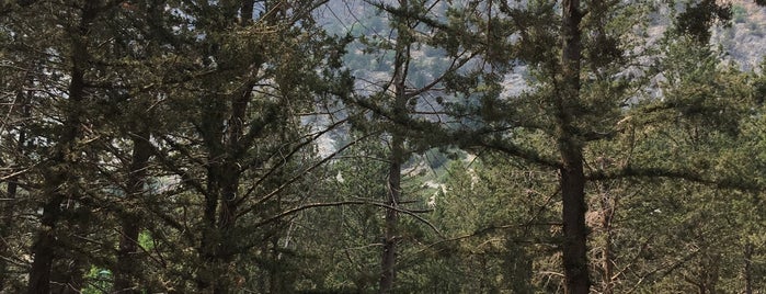 Taşkent Doğa Parkı is one of Lieux sauvegardés par Safa.