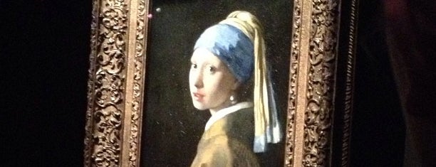 Girl with a Pearl Earring is one of Natalie 님이 좋아한 장소.