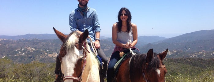 LA Horseback Riding is one of fun places?.