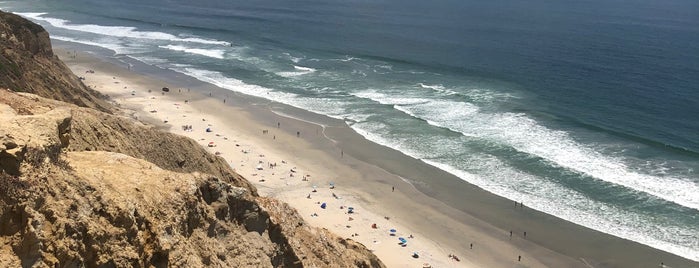 Black's Beach is one of San Diego Pride.