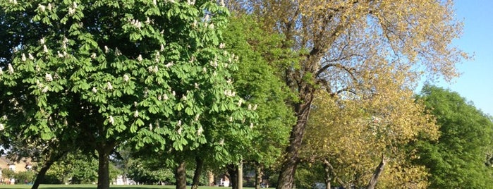 Hilly Fields is one of L.