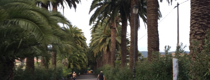 Camino Largo is one of Lugares para correr en Tenerife.