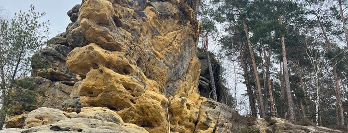 NP České Švýcarsko is one of Lieux qui ont plu à Jiri.