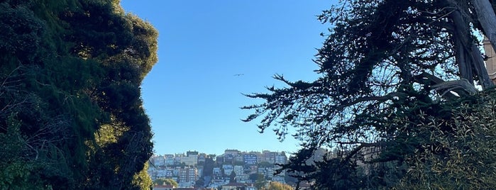 Palace Of Fine Arts is one of SF.