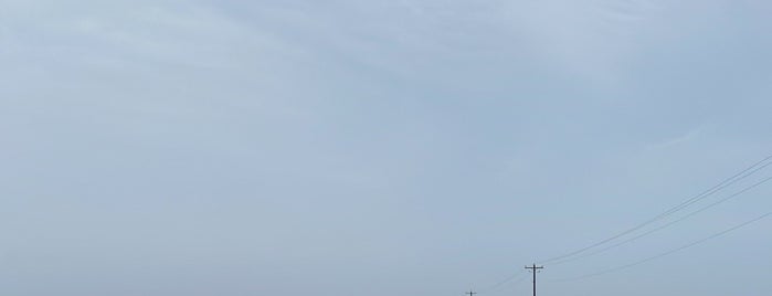 Horses On The Beach is one of Corpus christi.