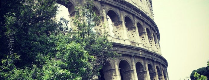 Coliseo is one of Evening in Roma.