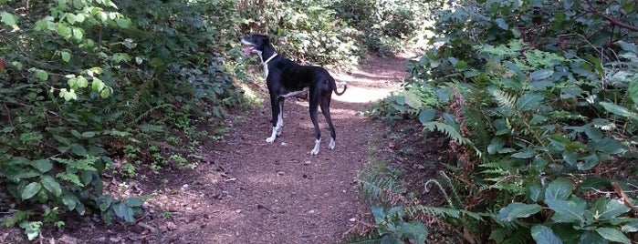 Point Defiance Off-leash Area is one of Tempat yang Disukai Heather.