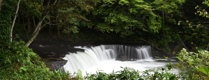 さくらの滝 is one of 北海道.
