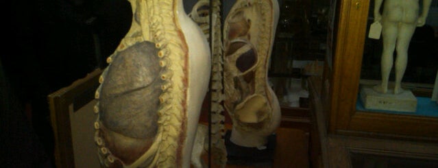 Anatomical Museum is one of SMU-in-Edinburgh To Do List.