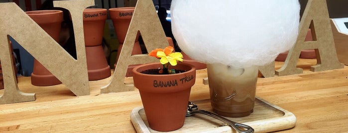 Banana Tree is one of Singapore cafe.