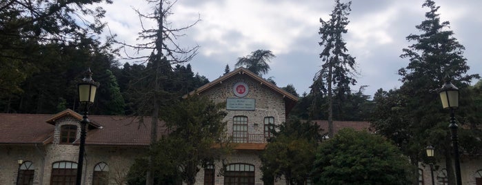 Beykoz Cam ve Billur Müzesi is one of Kahvalti.