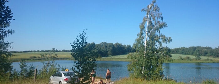 Шестаково, река, дамба is one of Nekit’s Liked Places.