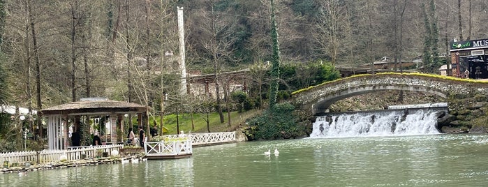 Sopeli Doğal Yaşam Köyü is one of Sapanca.