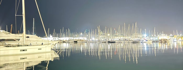 Paseo Marítimo de Alicante is one of Alicante urban treasures.