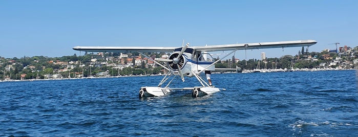 Sydney Seaplanes is one of Sydney.