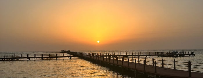 Oceana Resort is one of Jeddah.
