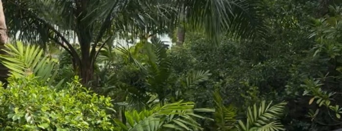 Banyan Tree Resorts