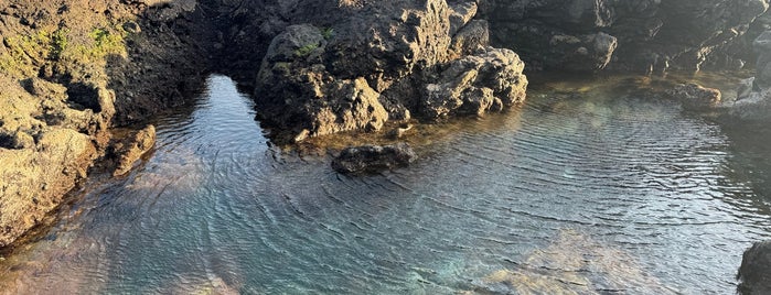 トウシキ海水浴場 is one of 東京界隈の綺麗げな浜🏖.