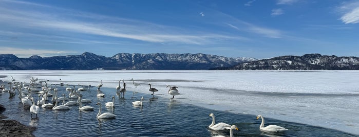 Lake Kussharo is one of お気にスポット.