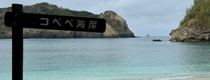 コペペ海岸 is one of 関東.