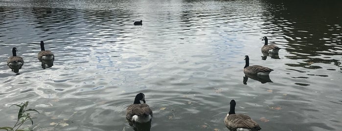 West Lake is one of Paul'un Beğendiği Mekanlar.