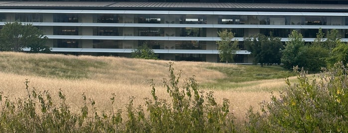 Observation Deck is one of Alberto J S’s Liked Places.