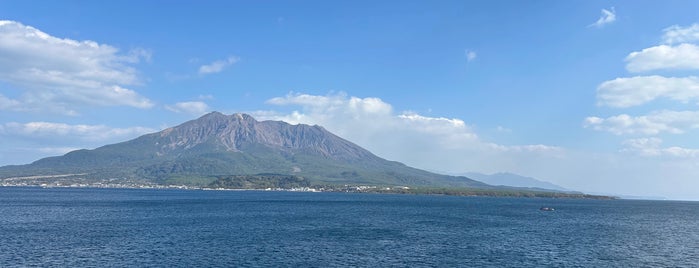 Sakurajima is one of 西郷どんゆかりのスポット.