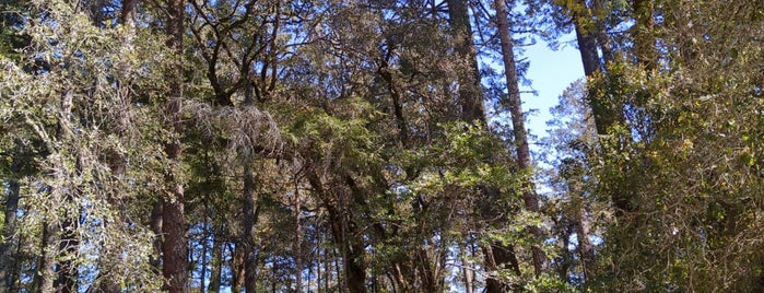 Pantoll Campground is one of Weekend Trips.