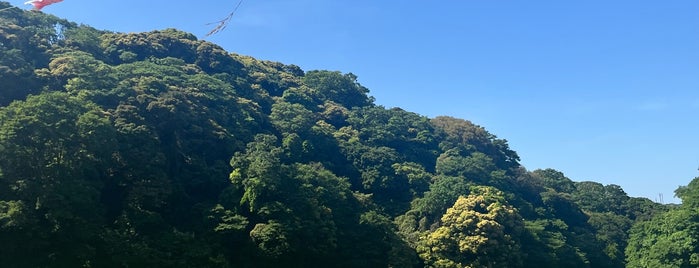 くりはま花の国 is one of Park.