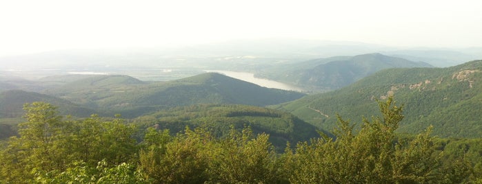 Dobogókő Kilátó is one of Hiking.