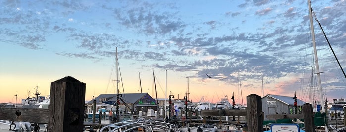 The Galleon Resort is one of The 15 Best Places for Coconut Shrimp in Key West.