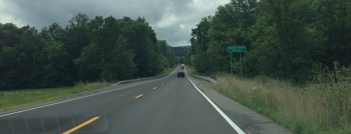 Rt 45 West is one of Roads.