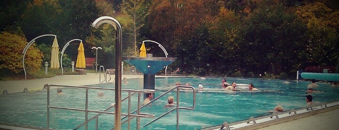 Paracelsustherme is one of Terme, Therme, Термы.