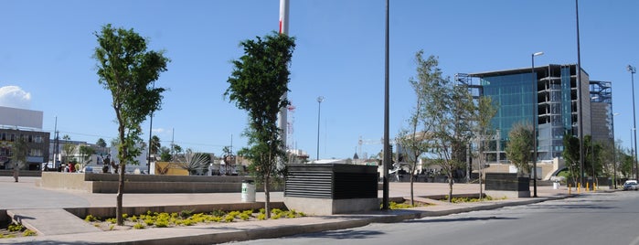 Plazas, parques y jardines Torreón Coah.
