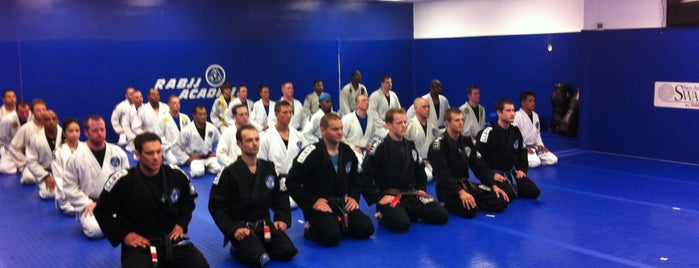 Ricardo Almeida Brazilian Jiu Jitsu & Martial Arts in Robbinsville NJ is one of สถานที่ที่ Ronnie ถูกใจ.