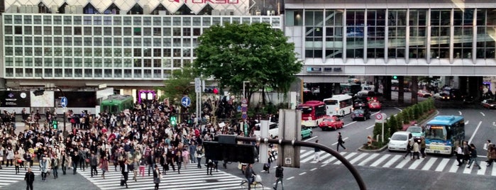 Shibuya Crossing is one of [To-do] Tokyo.