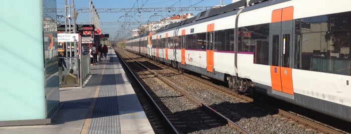 RENFE Castelldefels is one of canis.