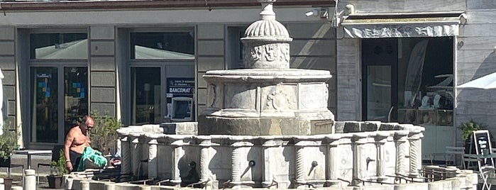 Fontana della Pigna is one of Rimini.