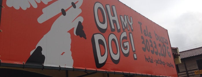 Pet Shop Oh My Dog is one of Lugares favoritos de Carolina.
