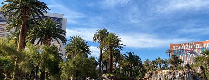 The Mirage Waterfall is one of Viva Las Vegas!.