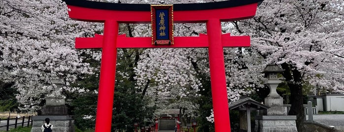 菅原神社 is one of お花見ポタ♪.