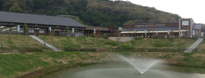 河内長野市