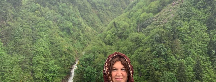 Ayder Şelale Zipline is one of Tempat yang Disukai ♟️ⓢⓔⓜⓡⓐ♣️.