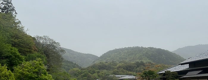 Arishiyama Bambu Ormanları is one of Japan?.