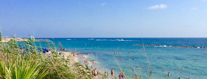 Municipal Beach is one of Cyprus Paphos.