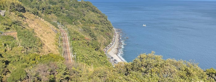 サドルバックカフェ is one of สถานที่ที่ とり ถูกใจ.