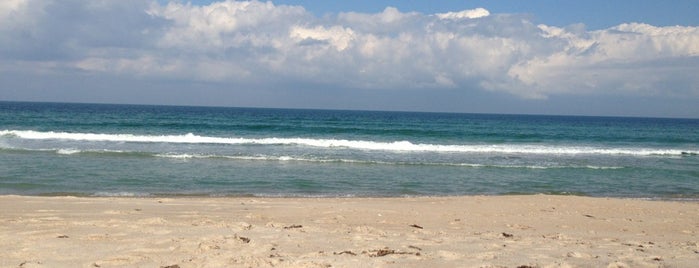 Playalinda Beach is one of Locais curtidos por Theo.