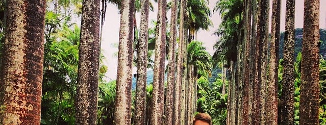 Jardín Botánico de Río de Janeiro is one of Coolplaces Rio.